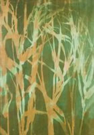 Bild: Die Schatten des Chronos - Sabine Große, Gummidrucke