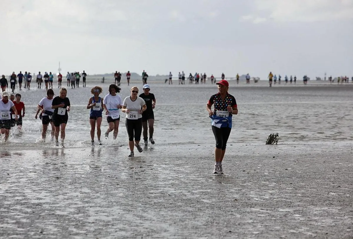 Durch das Wattenmeer führt die Königsetappe beim EWE Nordseelauf von Neuwerk bis nach Cuxhaven