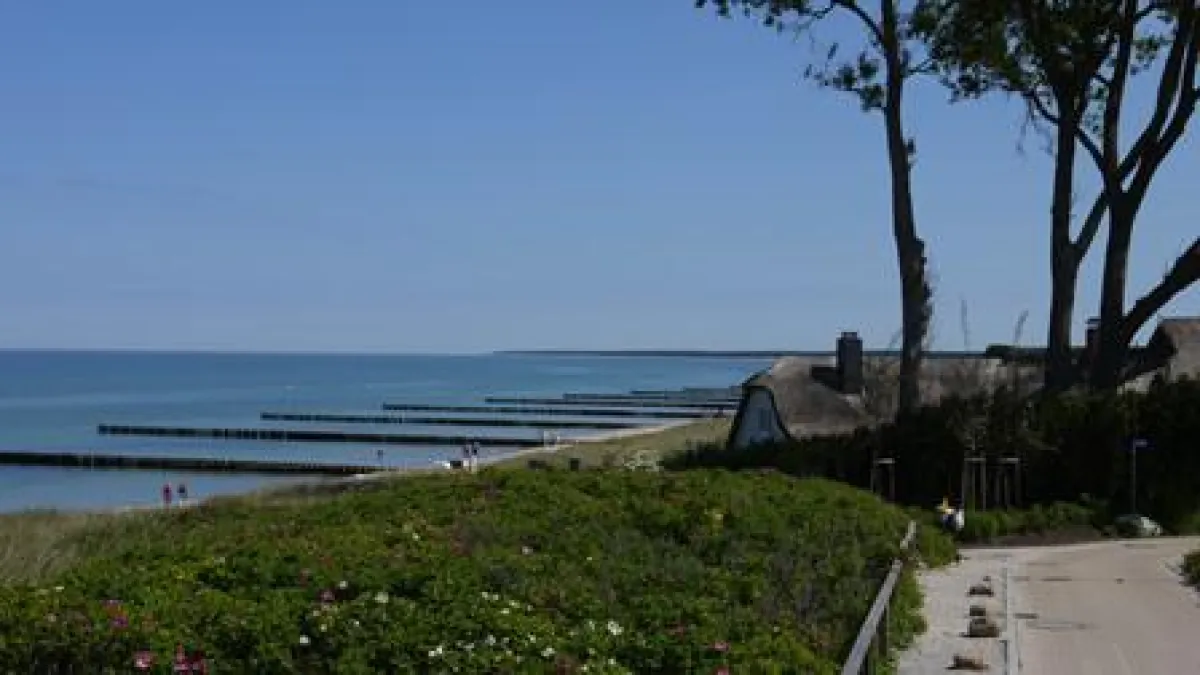 Pfingsten in Ahrenshoop, TV FDZ