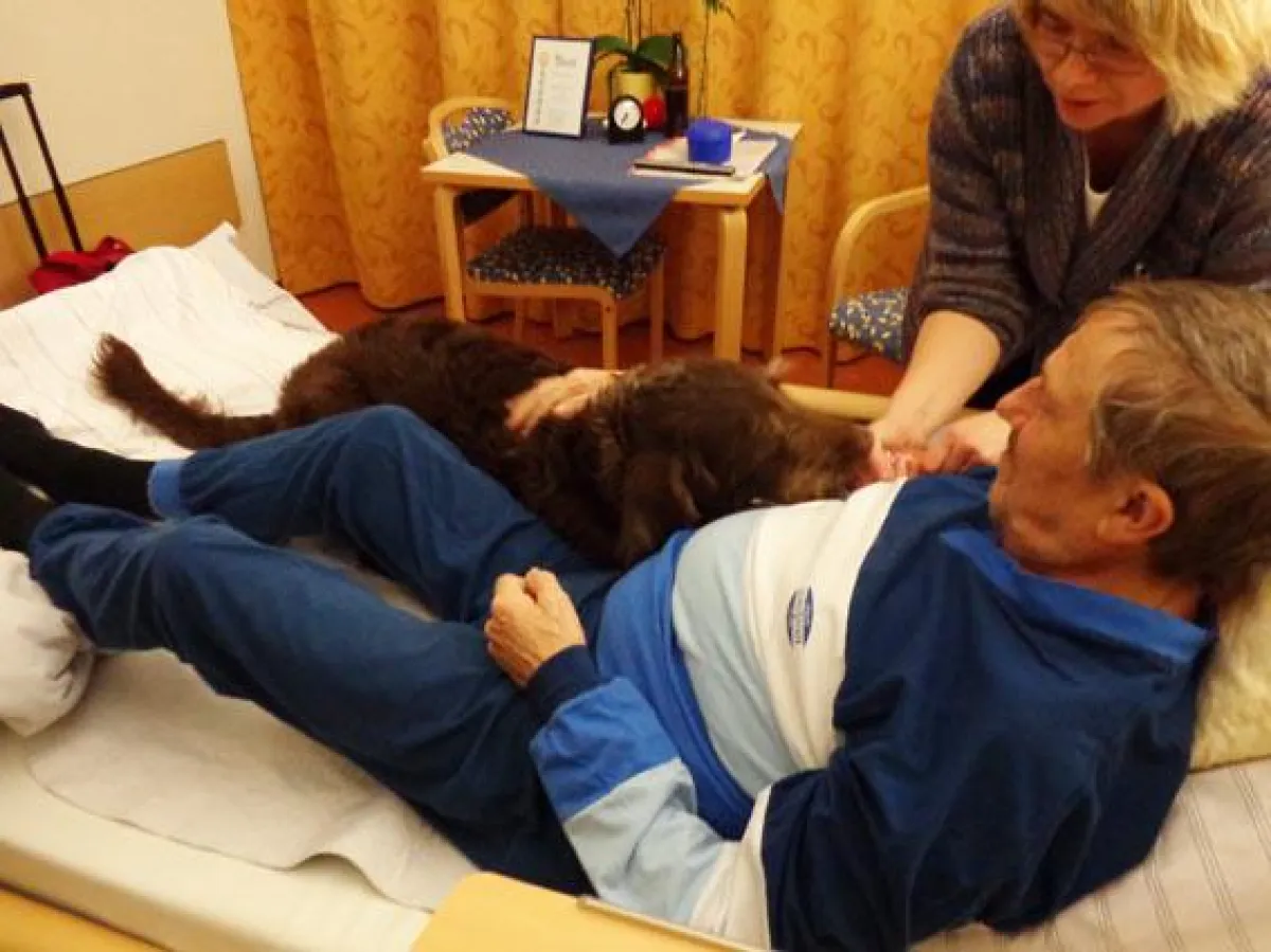 Hund der Besuchshundestaffel des ASB Ingolstadt besucht Patienten - Foto: ASB München