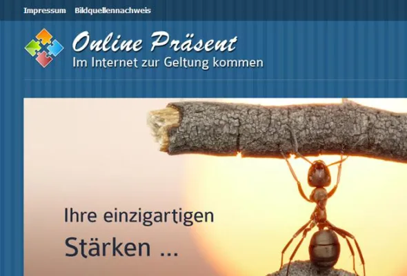 Bild: Neuaufbau des Internetauftritts von Ziegler & Golias GbR