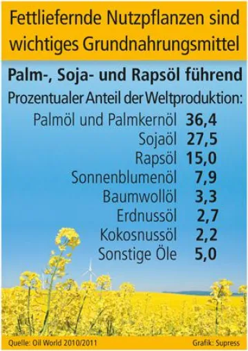 Fettliefernde Nutzpflanzen sind wichtiges Grundnahrungsmittel Bild: Fettliefernde Nutzpflanzen sind wichtiges Grundnahrungsmittel