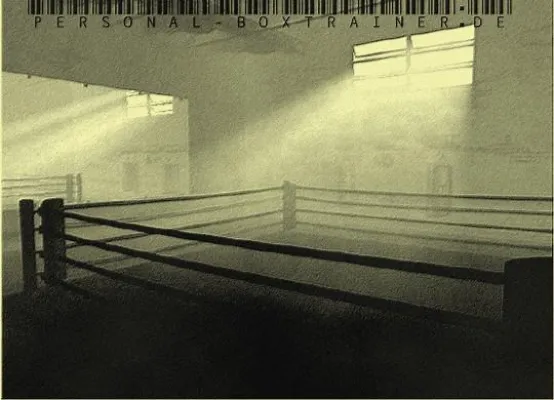 Boxen ist das optimale Fitnesstraining Bild: Boxen ist das optimale Fitnesstraining