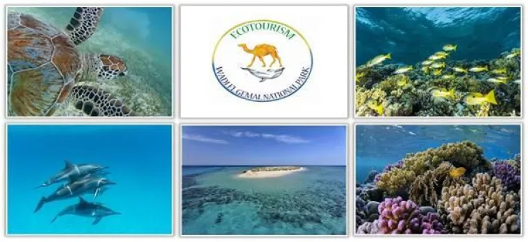 Wadi el Gemal – ein Unterwasserparadies im Roten Meer Bild: Wadi el Gemal – ein Unterwasserparadies im Roten Meer