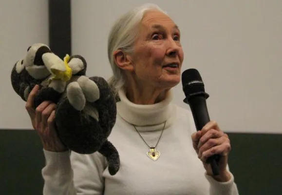 Bild: Dr. Jane Goodall fordert Freilassung der überlebenden MPI-Affen