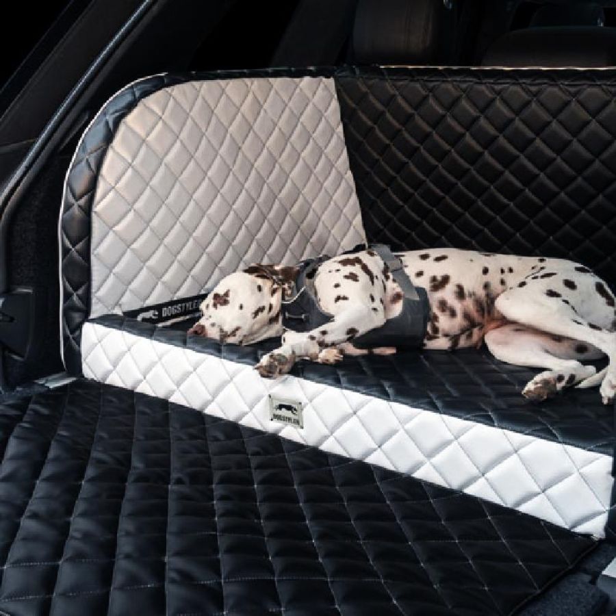 DOGSTYLER warnt: Verletzungsrisiko von Hunden im Auto wird unterschtzt