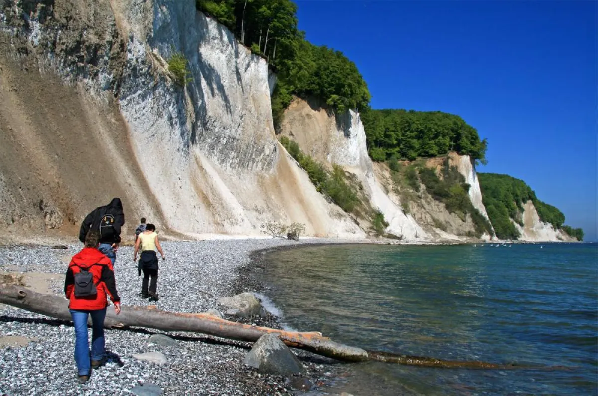 Die Kreideküste von Rügen. Foto: Tourismuszentrale Rügen