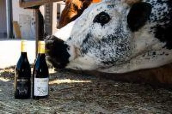 Sensation: Deutschlands einziger fleischloser Metzger! Bild: Sensation: Deutschlands einziger fleischloser Metzger!