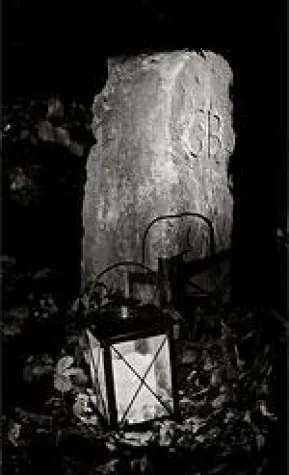 Nachtwanderung im Wald mit Geistergeschichten Bild: Nachtwanderung im Wald mit Geistergeschichten