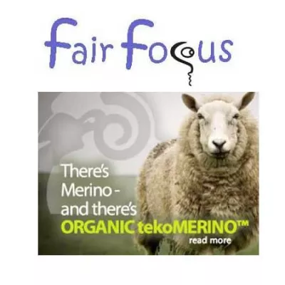 Bild: Merino Socken mit unvergleichlicher Ökobilanz - Mode online shopping