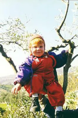 Bild: Villa La Rogaia, auf der Suche nach dem grünen Gold, Olivenernte in Umbrien