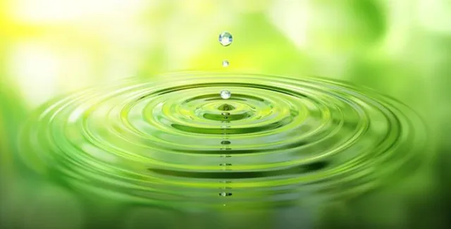 Bild: Catnic weitet Nutzung von Grünstrom aus