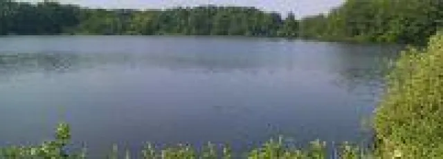 Bild: Bezahlbarer Erlebnisurlaub mit einer Ferienwohnung in Wismar an der Ostsee für die ganze Familie.