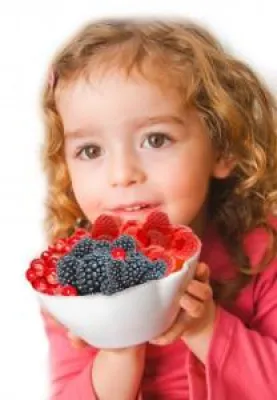 Zurück zu den Wurzeln Bild: Zurück zu den Wurzeln