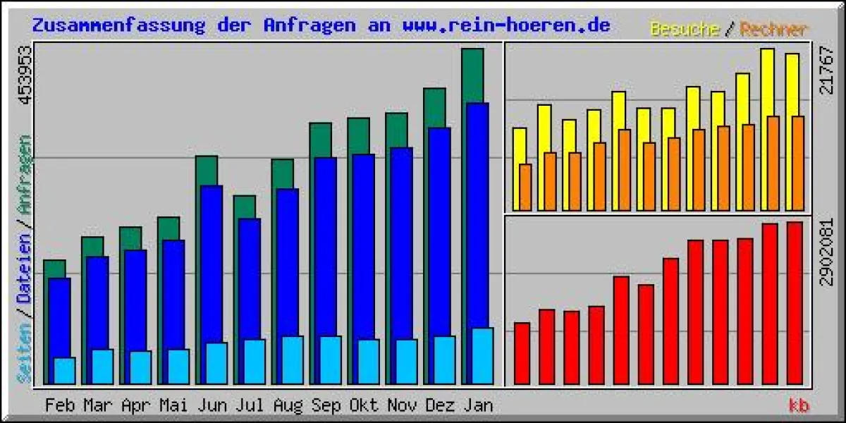 Zugriffsentwicklung rein-hoeren.de in 12 Monaten