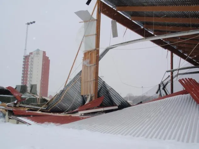 Bild: Schwedische Kaninchenschau wird von Katastrophe überschattet