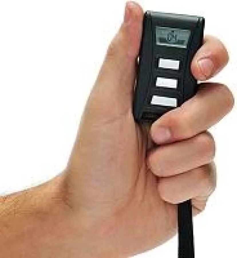 Ferntrainer zur Hundeerziehung