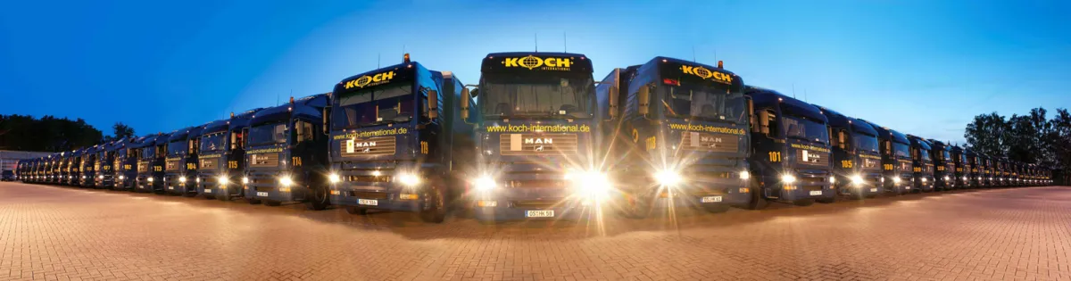 Koch International