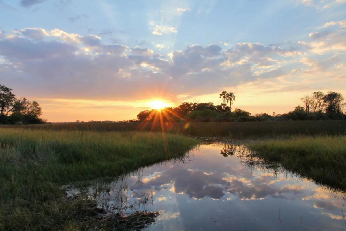 Das Okavango Delta in Botswana