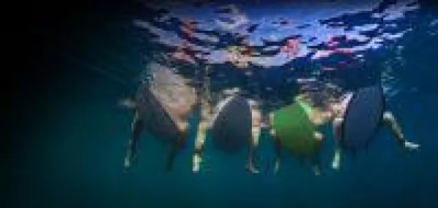 Bereit für die 100G-Welle Bild: Bereit für die 100G-Welle