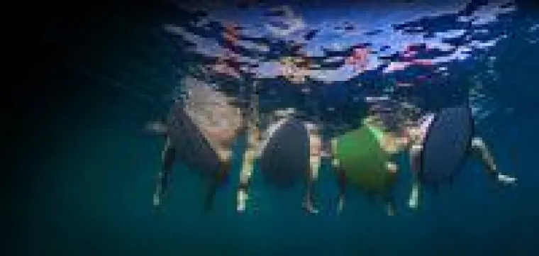 Bild: Bereit für die 100G-Welle