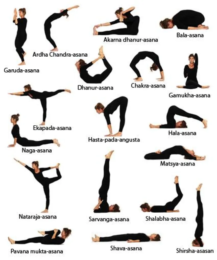 Yoga Körperübungen „Asanas“