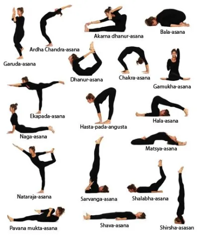 Yoga und die Gesundheit Bild: Yoga und die Gesundheit