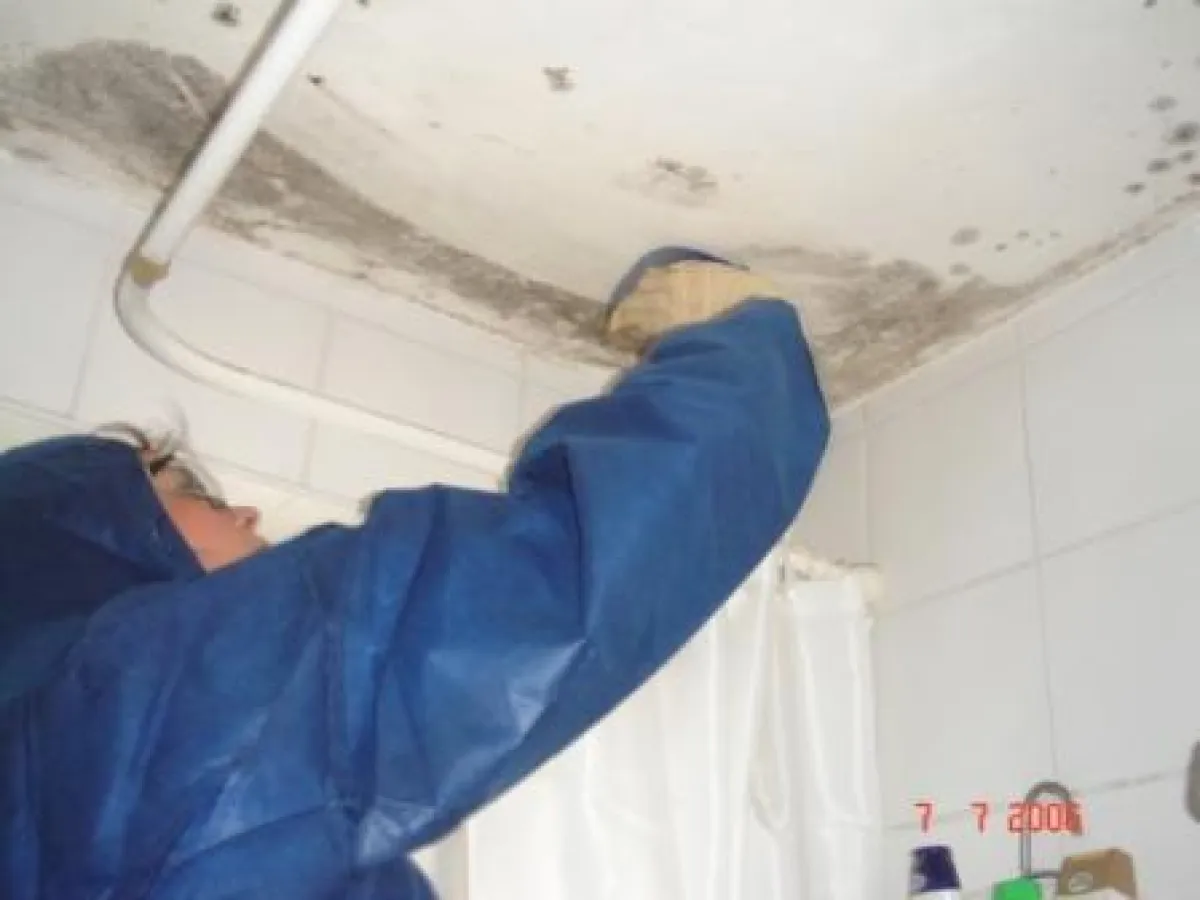 Schimmelspezialist bei der Arbeit