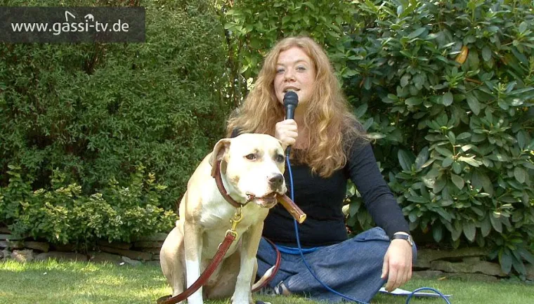 Bild: GASSI-TV “News”- 19. August 2009