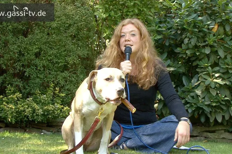Bild: GASSI-TV “News”- 19. August 2009