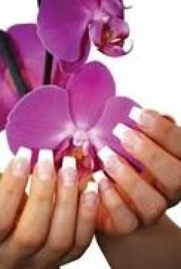 Traumnaegel.com verwirklicht Träume