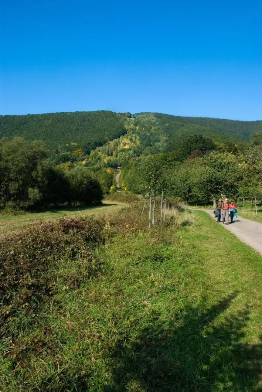 Wandern im 