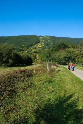Bild: 20 Jahre Mauerfall - Wandern im ehemaligen Grenzgebiet
