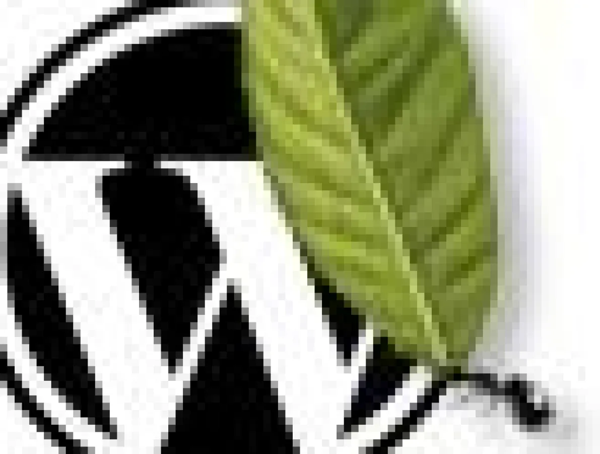 Wordpress als CMS - der Online-Workshop bei akademie.de