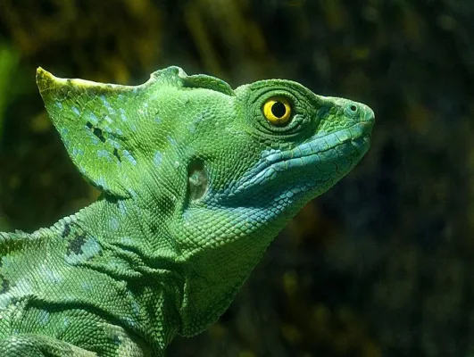 Bild: 1-tägiges Fotoseminar „Terrarienfotografie“ im Reptilium Landau