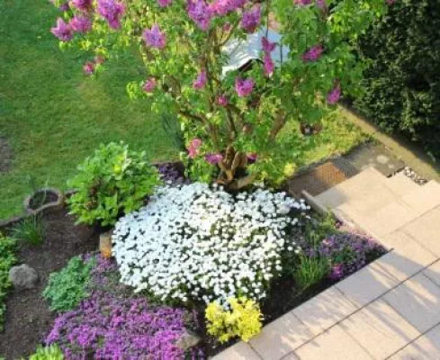 Bild: Schöne Gärten inszenieren - Tipps für die neue Gartenplanung von DoctorPlant