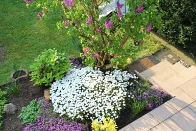 Bild: Schöne Gärten inszenieren - Tipps für die neue Gartenplanung von DoctorPlant