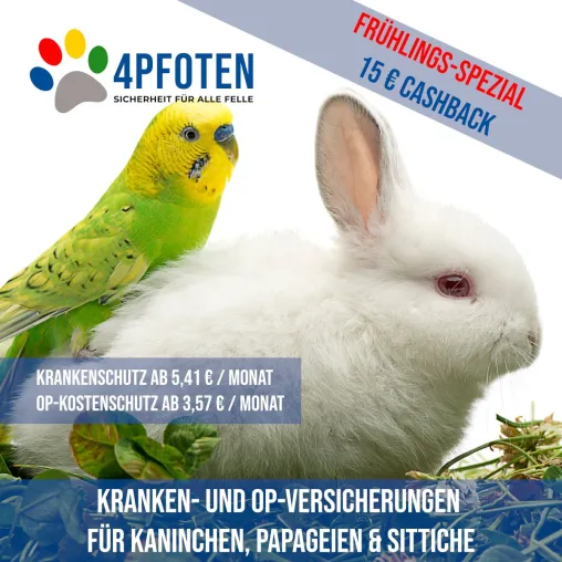 Bild: Wir lassen was springen! 4PFOTEN Frühlings-Spezial mit toller Cashback Aktion.