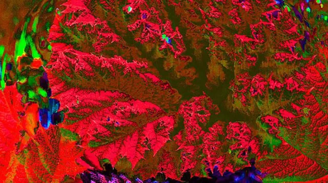 Bild: GLOBAL WARMING und der Künstler HJ LINDEN