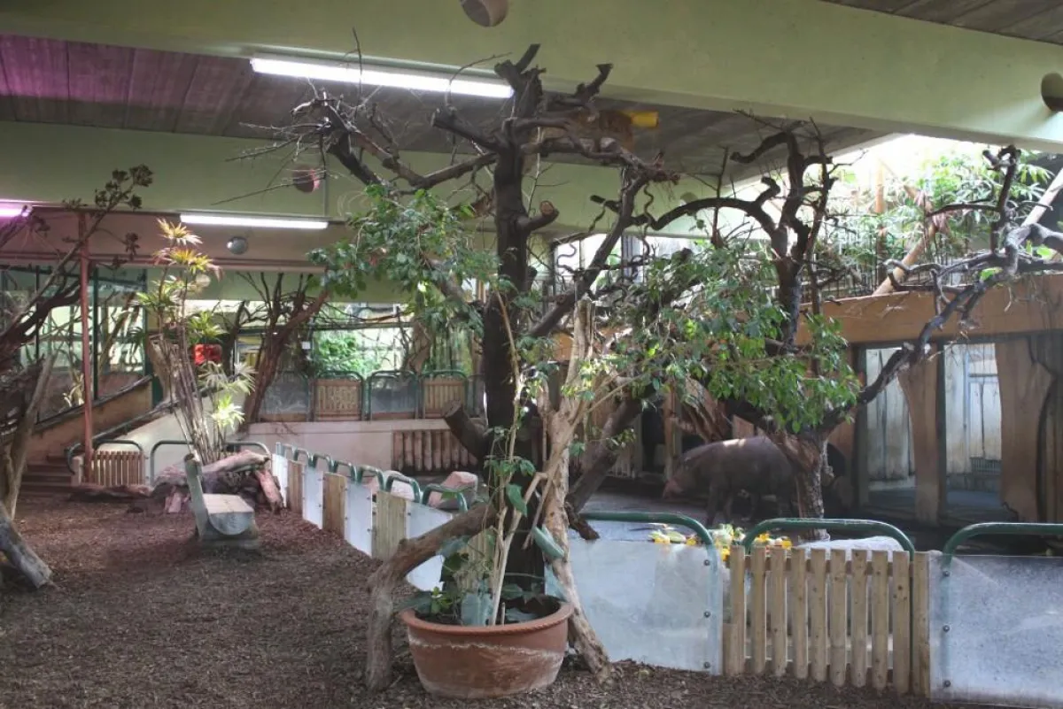 Für Tiere, Pfleger und Besucher kein sichtbarer Unterschied ? aber der Zoo spart jährlich 1.000 ?.