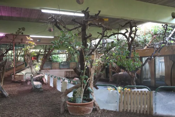 Bild: LEDs sparen im Osnabrücker ZOO „tierisch viel“ Energie ein