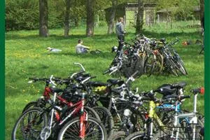 Bild: Fahrradcheck mit Little John Bikes