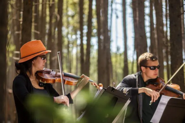 Bild: Festivals mit Höhenrausch