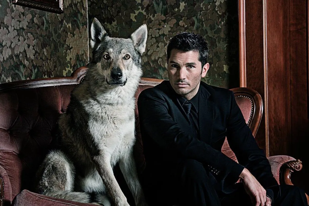 Copyright © 2009 Markus Hofmann. All rights reserved.