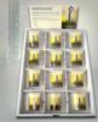 Bild: Markteinführung des Wassersparesystem