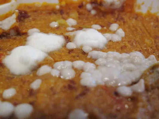 Bild: Enzyme gegen Pilzgifte im Tierfutter