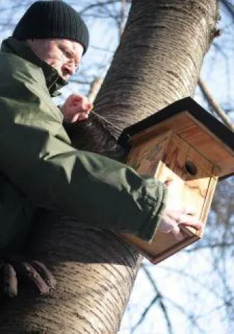 Zeit zum Aufhängen – erleb-bar lädt zum Nistenkastenbau ins Haus Steinstraße Bild: Zeit zum Aufhängen – erleb-bar lädt zum Nistenkastenbau ins Haus Steinstraße