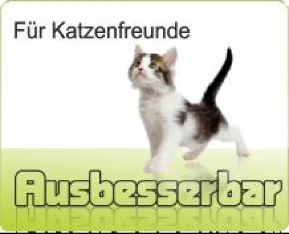 Bild: Spezielle flexible Tapete für Katzen zum Weltkatzentag