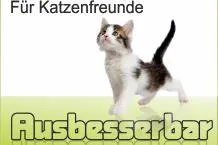 Spezielle flexible Tapete für Katzen zum Weltkatzentag Bild: Spezielle flexible Tapete für Katzen zum Weltkatzentag