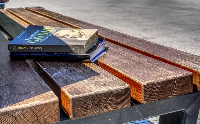 Bild: Lesen auf Parkbank ist nicht illegal - ÖDP-Politiker zu Unrecht in Arrest